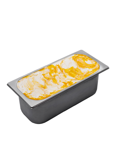 Eiswanne 5L Soleo Berger