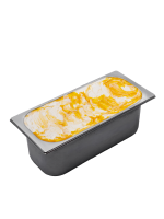 Eiswanne 5L Soleo Berger