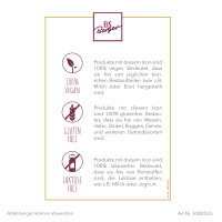 EisBerger Flyer Erklärung ICONs DIN A5