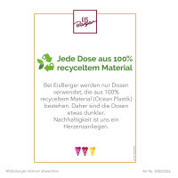 EisBerger Flyer Erklärung Ocean Plastik DIN A5
